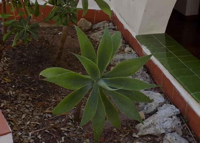 Διαμέρισμα Encanto Del Mar *